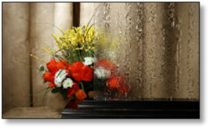 Cabinet Specialty Farao Glass #HG-1100