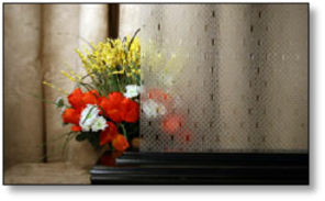 Cabinet Specialty Quatric Frost Glass #HG-2120