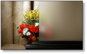 Cabinet Textured Solid Etch Glass